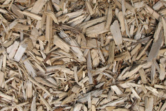 biomass boilers Trevarth