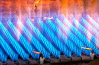 Trevarth gas fired boilers